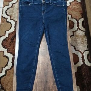 Torrid Blue Skinny Jeans with Classic Indigo Wash